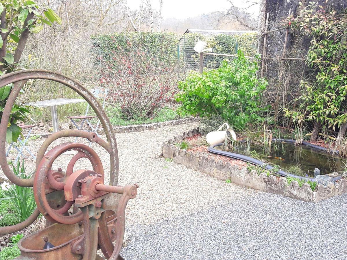 Chambres D'Hotes Le Clos De La Touche Cheillé Esterno foto